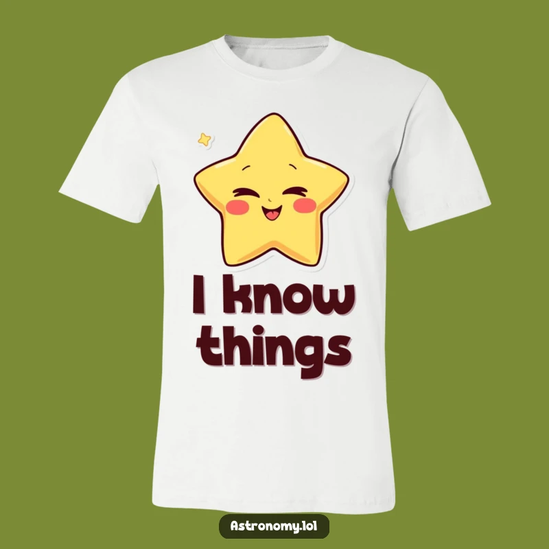 Funny Giggling Star T-Shirt: Winking Star Character T-Shirt, a Hilarious Funny Gift